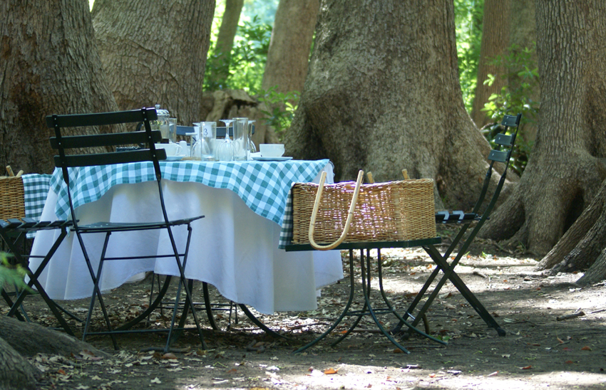 Vergelegen Wine Estate Picnic