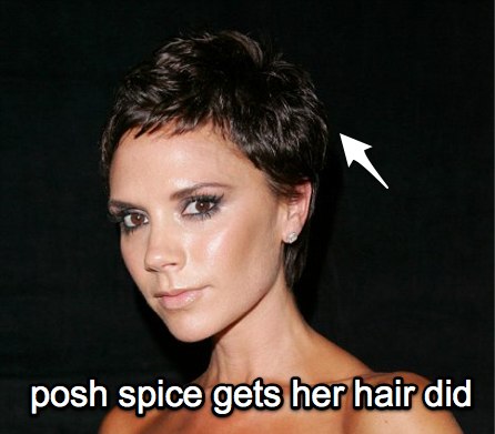 Victoria Beckham Short Hair Back