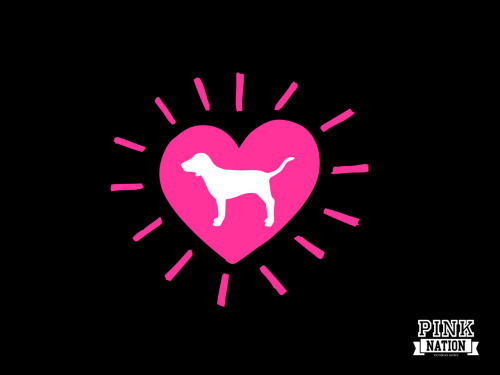 Victoria Secret Pink Dog