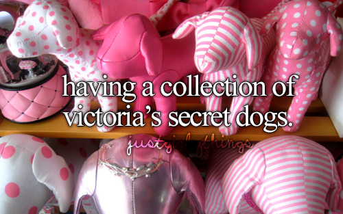 Victoria Secret Pink Dog Collection