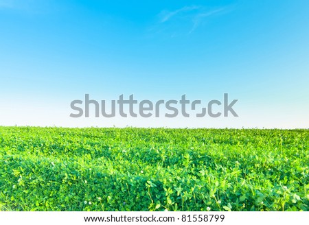 Wallpaper Nature Beauty Green