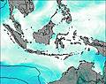 Weather Forecast Singapore Today