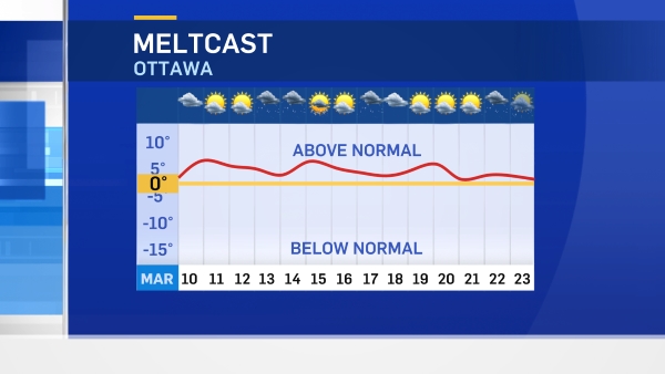 Weather Network Ottawa Bus Cancellations