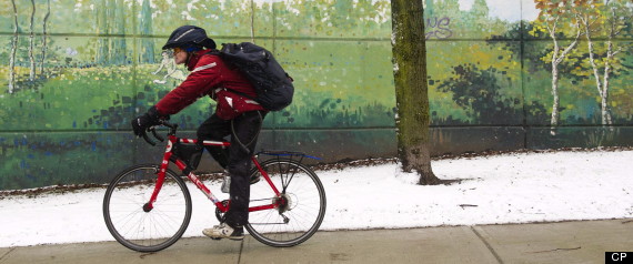 Weather Network Toronto 14 Day Forecast