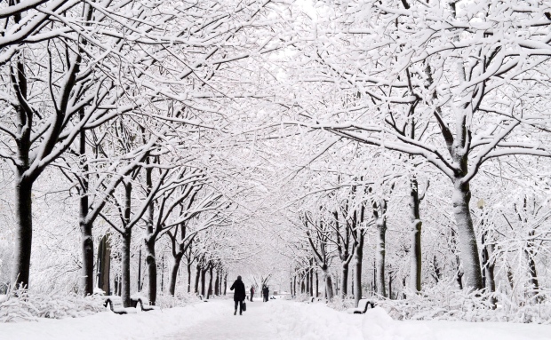 Weather Network Toronto Islands