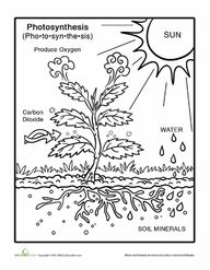 Weathering And Erosion Worksheets 4th Grade