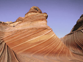 Weathering Of Rocks By Animals