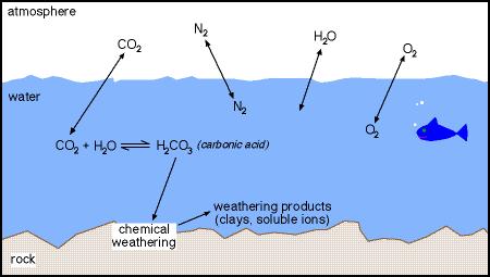 Weathering Of Rocks By Animals