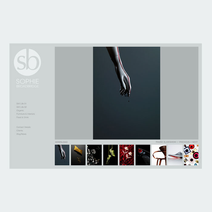 Web Design Portfolio Examples