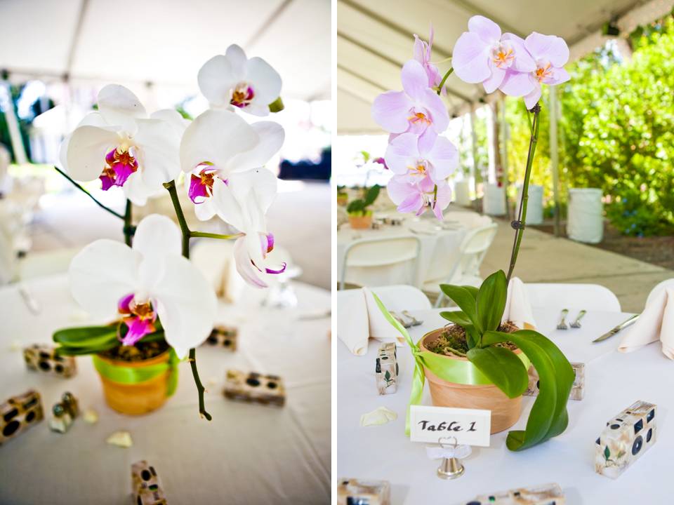 Wedding Reception Centerpieces With Orchids