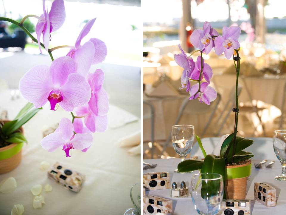 Wedding Reception Centerpieces With Orchids