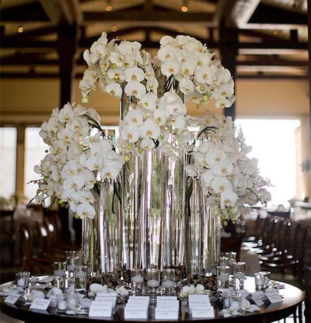 Wedding Reception Centerpieces With Orchids