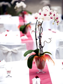 Wedding Reception Centerpieces With Orchids