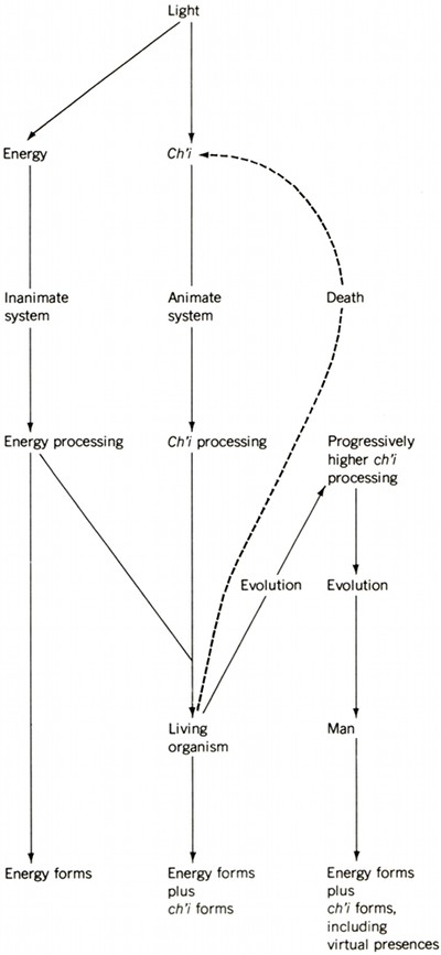 What Are The Properties Of Light Energy