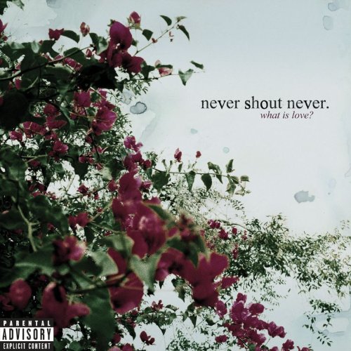 What Is Love Nevershoutnever