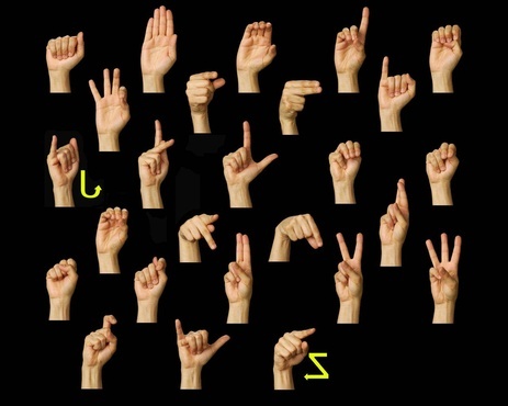 Whatever Sign Language