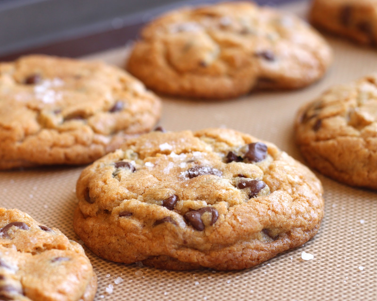 White Chocolate Chip Cookies Recipe Chewy