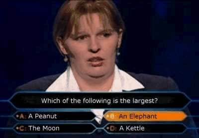 Who Wants To Be A Millionaire Fail Elephant