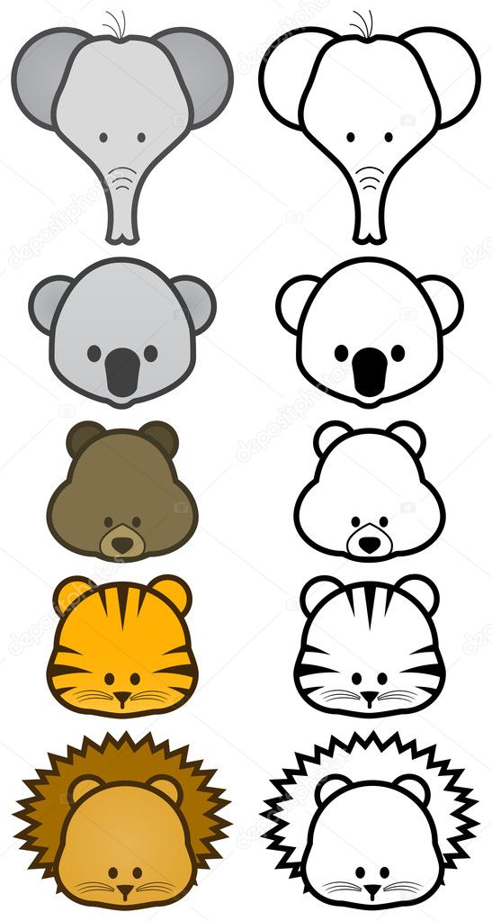 Wild Animals Cartoon Images