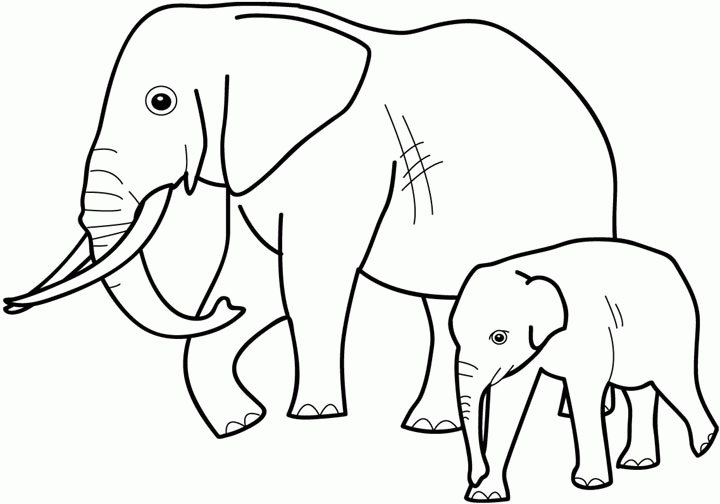 Wild Animals Pictures For Colouring