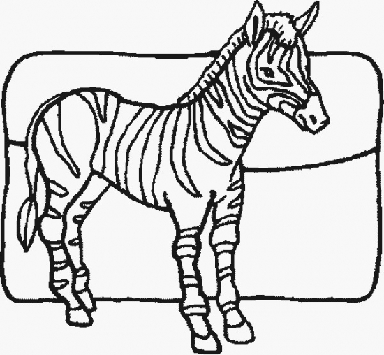 Wild Animals Pictures For Colouring