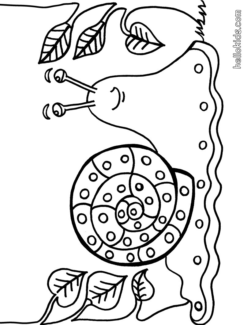 Wild Animals Pictures For Colouring