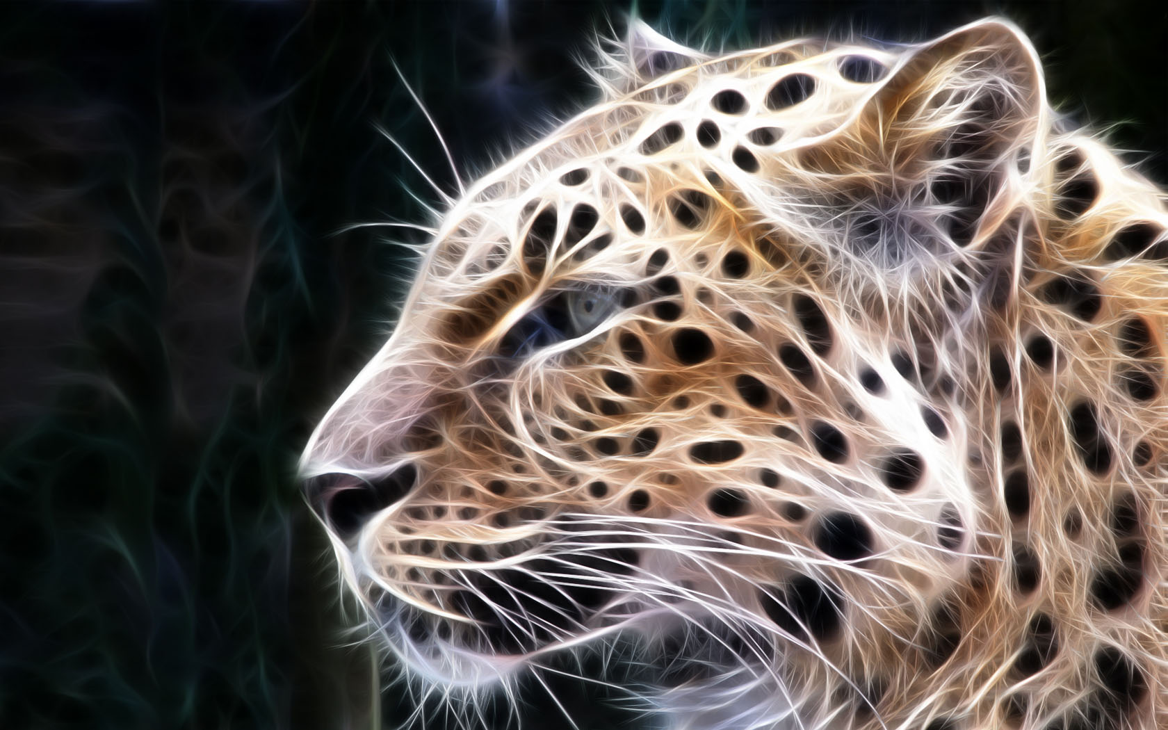 Wild Animals Wallpapers Free Download