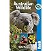 Wildlife Explorer Cards Review