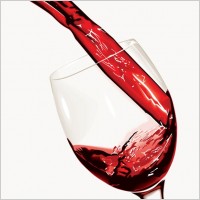 Wine Glass Vector