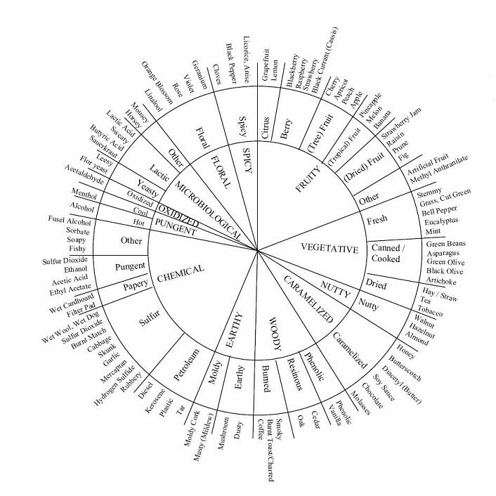 Wine Tasting Wheel