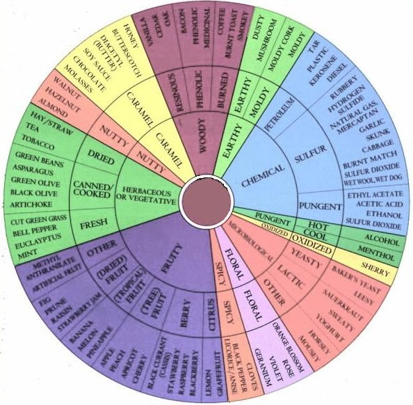 Wine Tasting Wheel