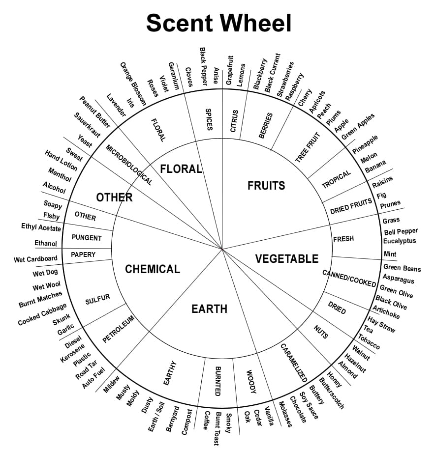 Wine Tasting Wheel