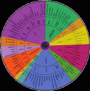 Wine Tasting Wheel