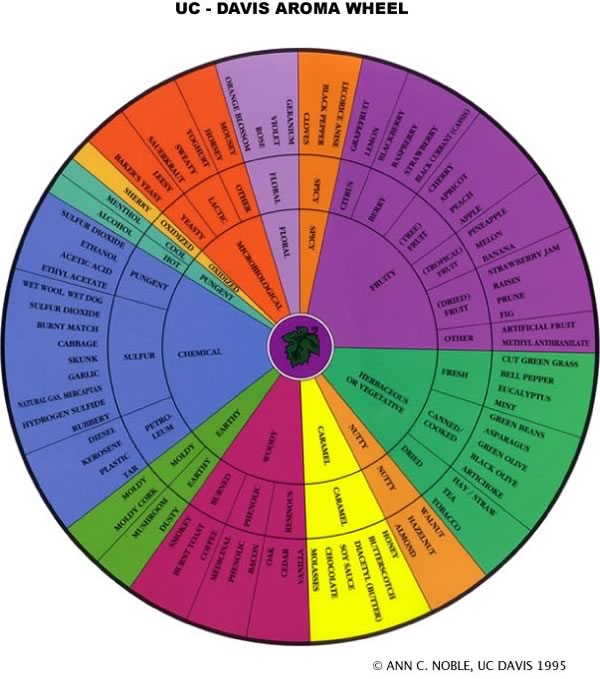 Wine Tasting Wheel