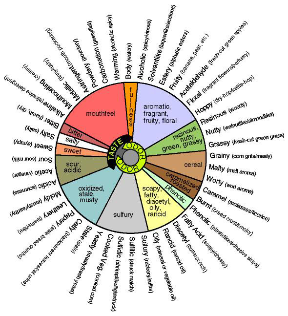 Wine Tasting Wheel