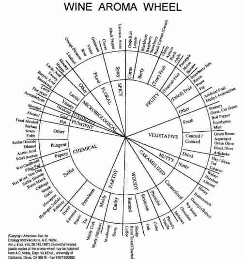 Wine Tasting Wheel