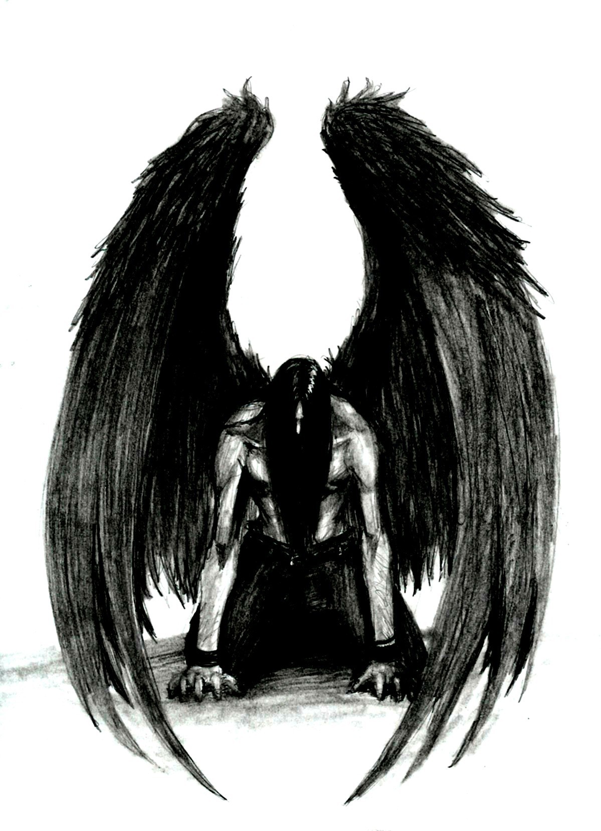 Wings Drawing