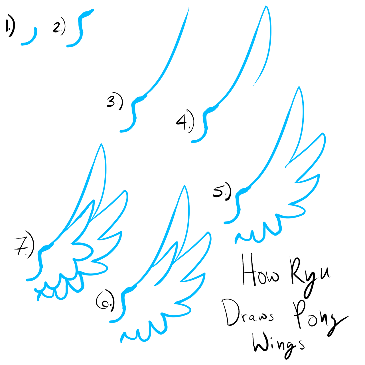 Wings Drawing Reference