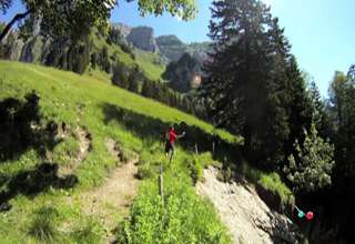 Wingsuit Cliff