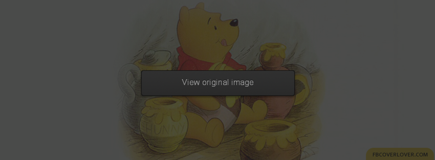 Winnie The Pooh Facebook Cover