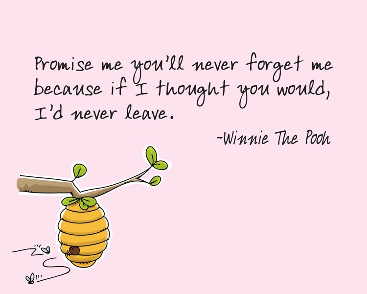 Winnie The Pooh Quotes