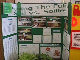 Winning Science Fair Projects For 8th Grade