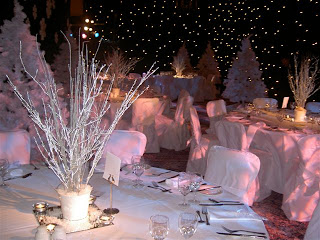 Winter Wonderland Wedding