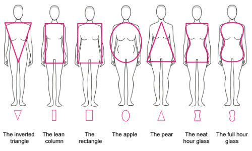 Women Body Shapes Chart