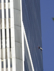 World Trade Center Attack Jumping