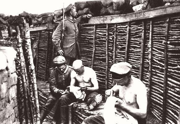 World War 1 Trenches Rats