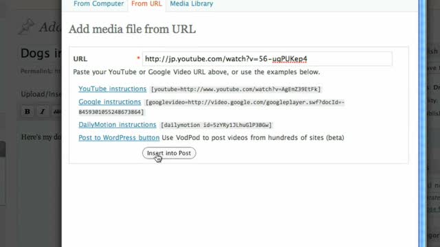 Youtube Embed Code Not Working In Wordpress